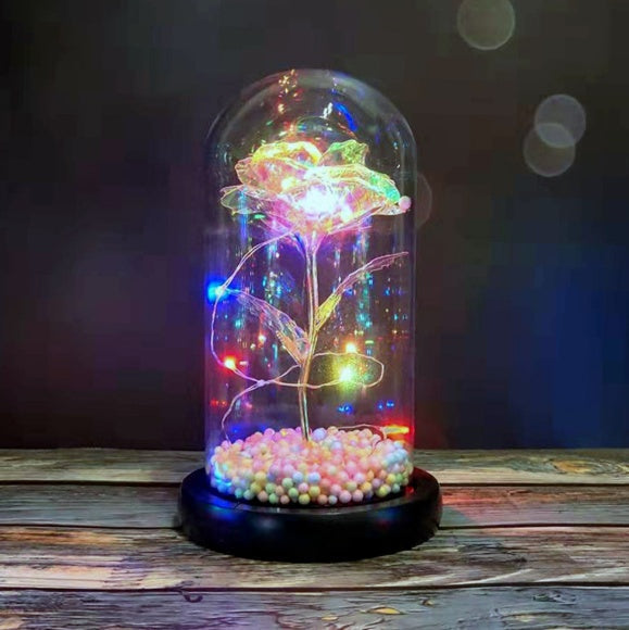 LED Rose Glass Dome Light
