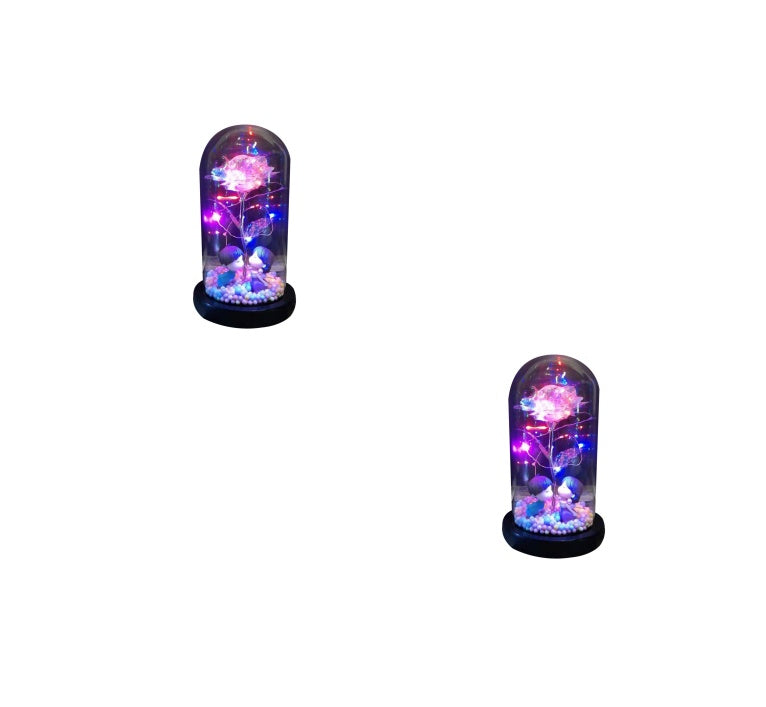 gadgets Led Light Glass Cover Rose Flower Micro Landscape